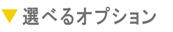 選べるオプション